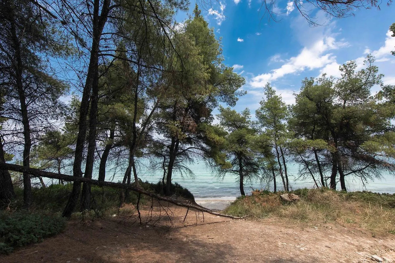 Kriopigi Pines By The Sea By Luxlikehome Feriehus